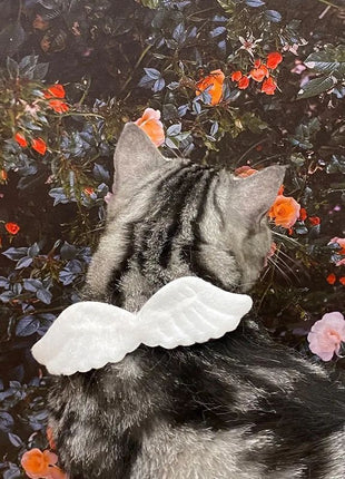 Nuevos accesorios de alas de ángel con collar blanco para mascotas, específicos para gatos