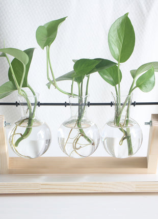 Wooden Hydroponic Vase