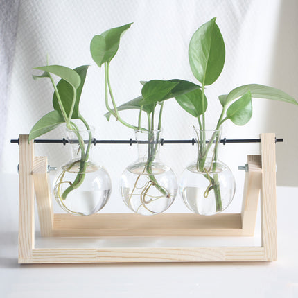 Creative Wooden Frame Hydroponic Glass Flower Plant Green
