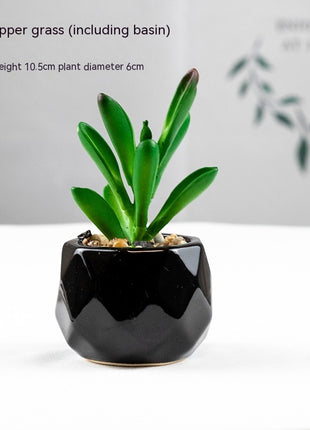 Artificial Succulent Plant