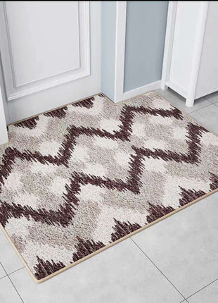 Modern Minimalist Entrance Door Mat ⭐