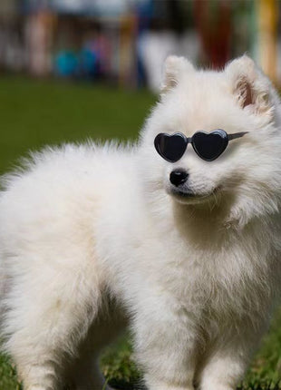 Doll Sunglasses Pet Toy Accessories