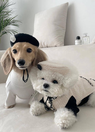 Accesorios para mascotas, perros y gatos, gorro de punto