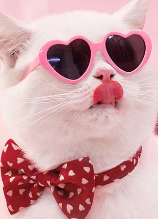 Doll Sunglasses Pet Toy Accessories