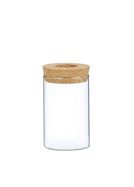 Hydroponic Glass Vase