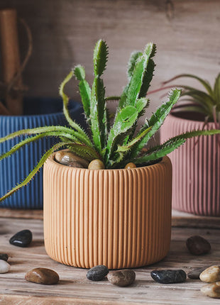 Flor cilíndrica suculenta de color Morandi creativa
