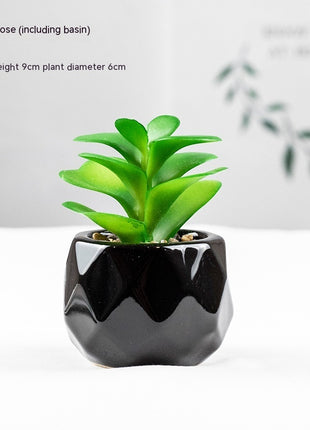 Artificial Succulent Plant
