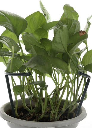 Jaula de soporte para plantas trepadoras de flores DIY