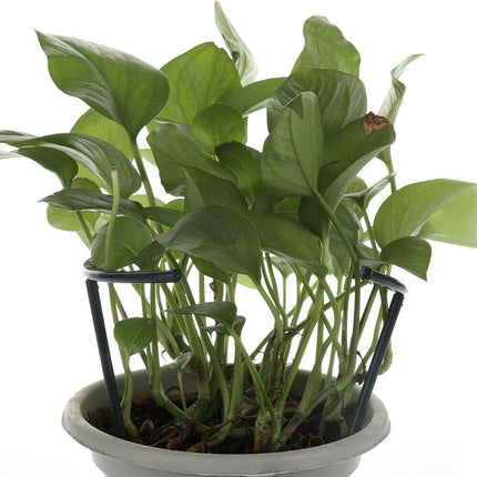 DIY Plant Flower Climbing Bracket Bracket Cage